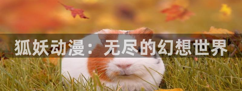 unbalance樱花动漫：狐妖动漫：无尽的幻想世界