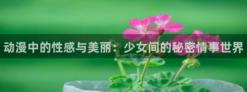 后宫露营,樱花动漫：动漫中的性感与美丽：少女间的秘密情事世界