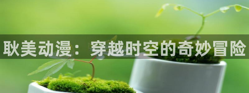 樱花动漫影之实力者：耿美动漫：穿越时空的奇妙冒险