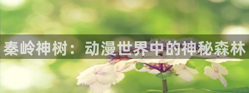 一念永恒 樱花动漫：秦岭神树：动漫世界中的神秘森林