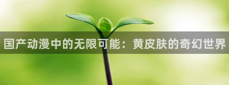 青春掠夺(樱花动漫)：国产动漫中的无限可能：黄皮肤的奇幻世界